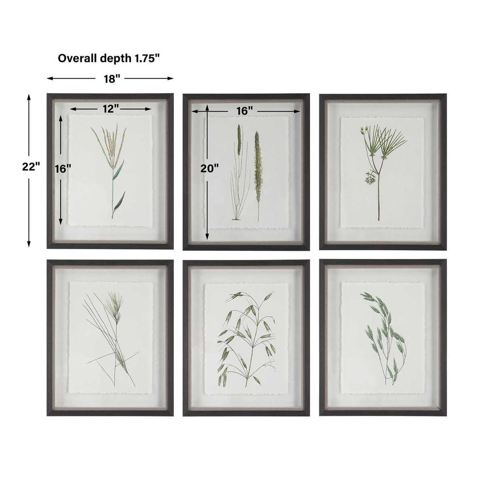 Forest Finds Framed Prints, S/6