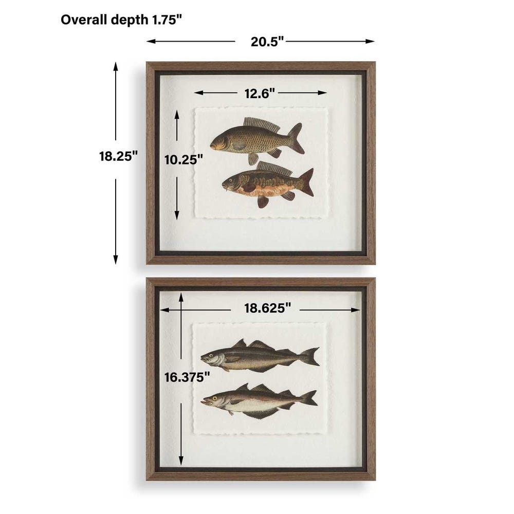 The Catch Framed Prints, S/2