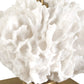 Caronia Buffet Lamp