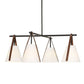 Reins, 4 Lt Chandelier