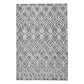 Sieano, Gray-Ivory