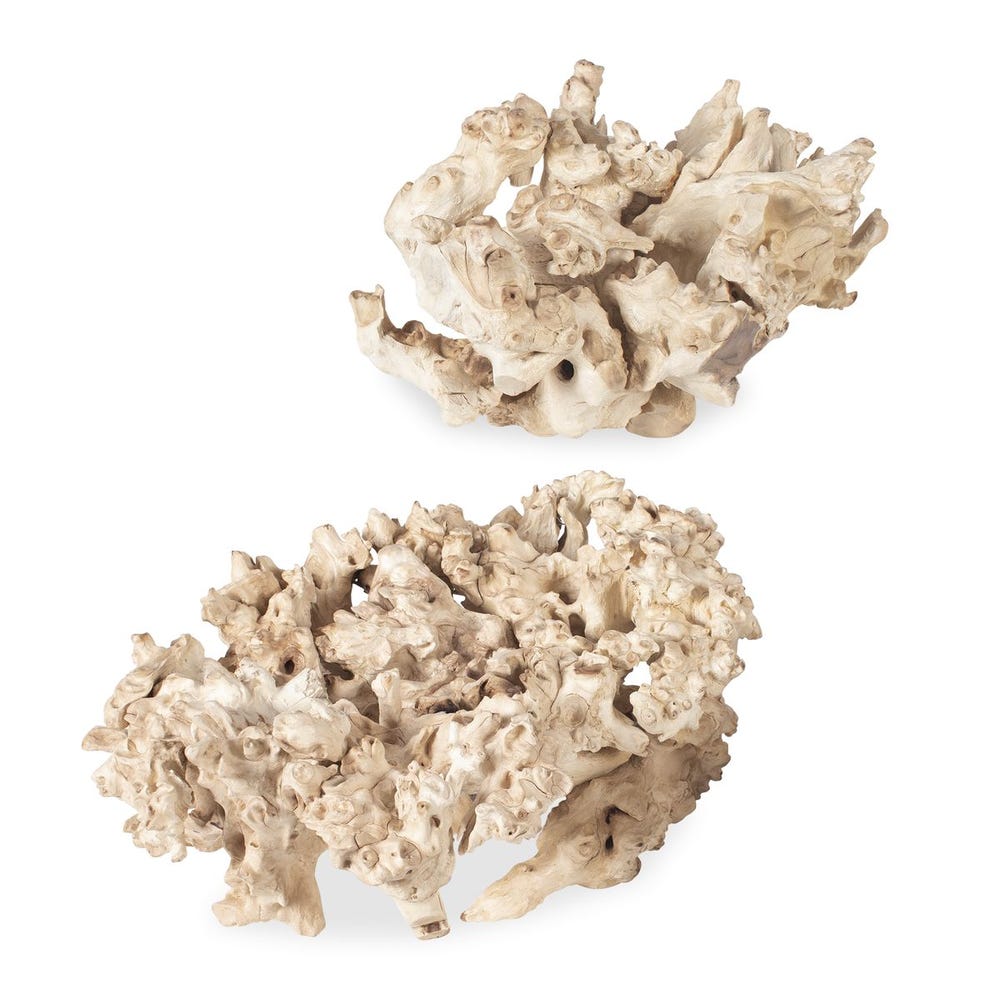 Elemental Root Indoor-Outdoor Sculptures, S/2