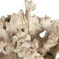 Elemental Root Indoor-Outdoor Sculptures, S/2