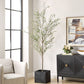 Abundance Potted Olive Tree