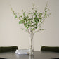 Nigra Birch Centerpiece