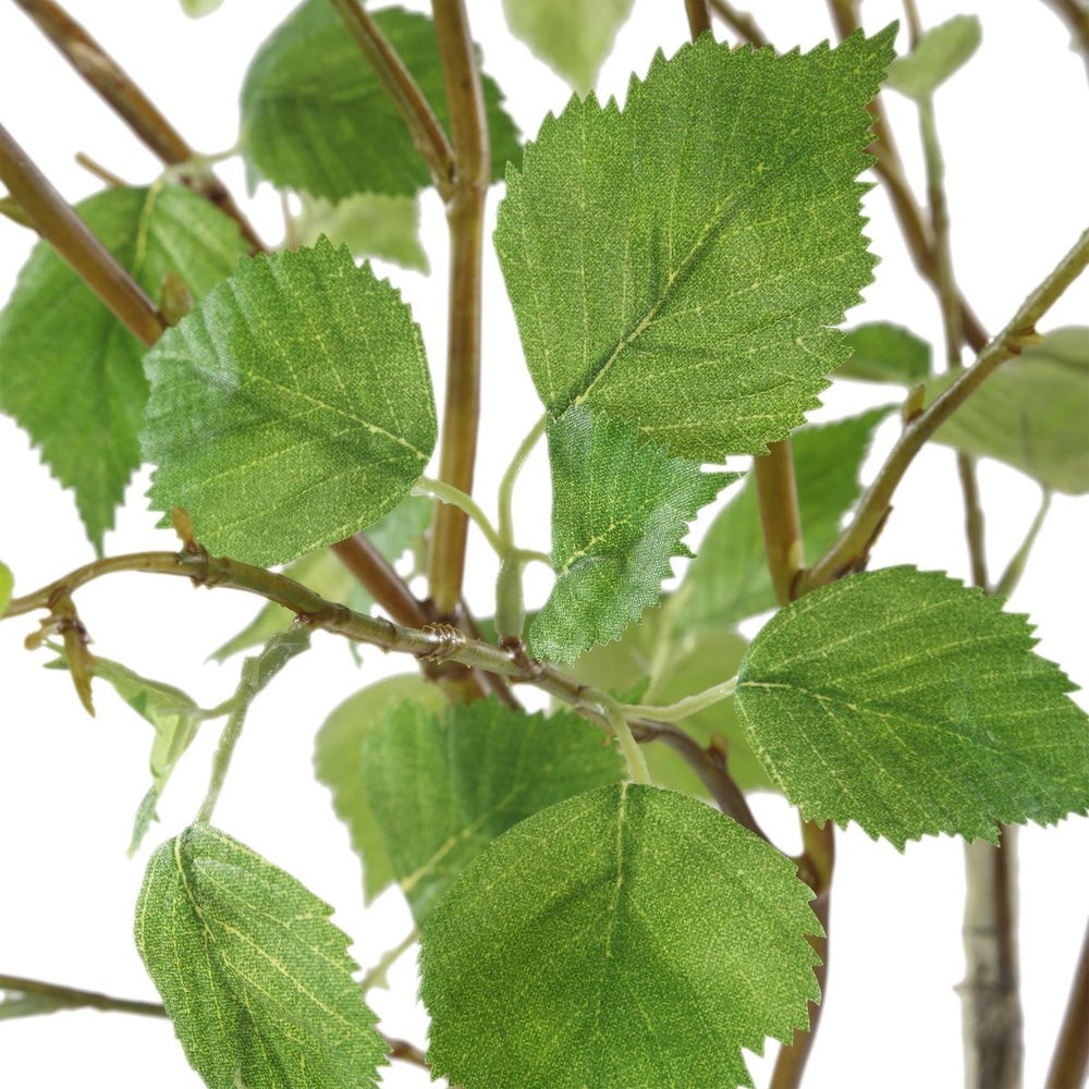 Nigra Birch Centerpiece
