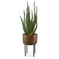 Arabia Aloe Planter, 2 CARTONS