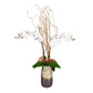 Earthbound Orchid