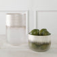Frost Vases, S/2