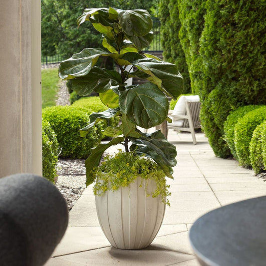 Ridgehaven Indoor-Outdoor Planter