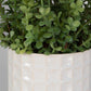 Edgewood Greenery, S/2