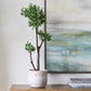 Arbor Strawberry Tree