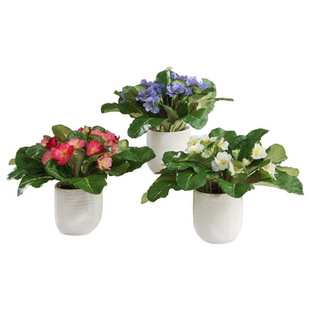 Trilogy Primrose Accents, S/3