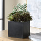 Greystone Indoor-Outdoor Succulent