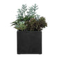 Greystone Indoor-Outdoor Succulent
