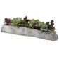 Charita Succulents