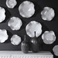 Abella Ceramic Indoor-Outdoor Wall Decor, White, S/3