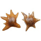 Starpetal Indoor-Outdoor Bowls,S/2