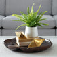 Boston Fern Accent
