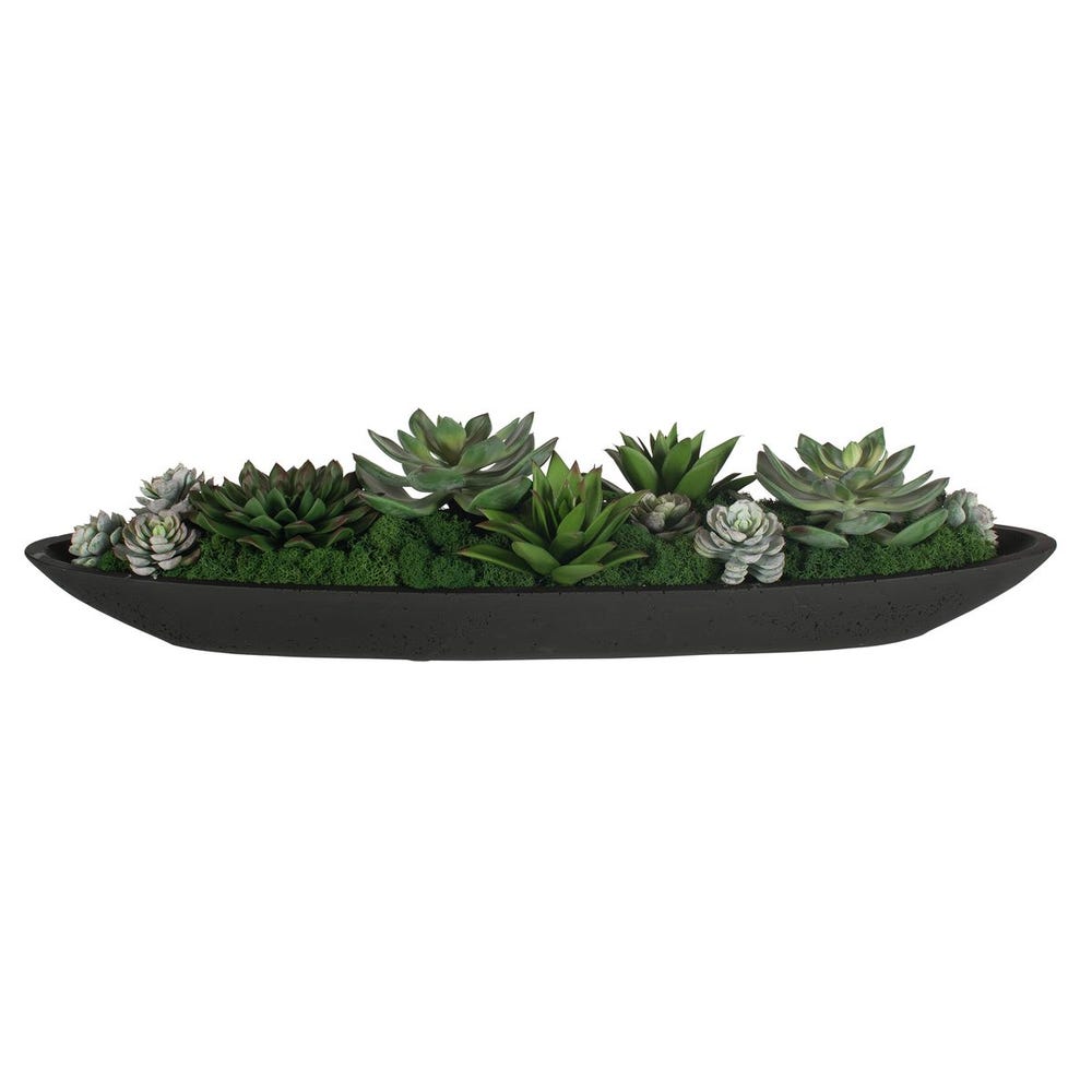 Verde Succulent Centerpiece