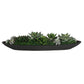 Verde Succulent Centerpiece