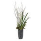 Eterna Orchid Centerpiece