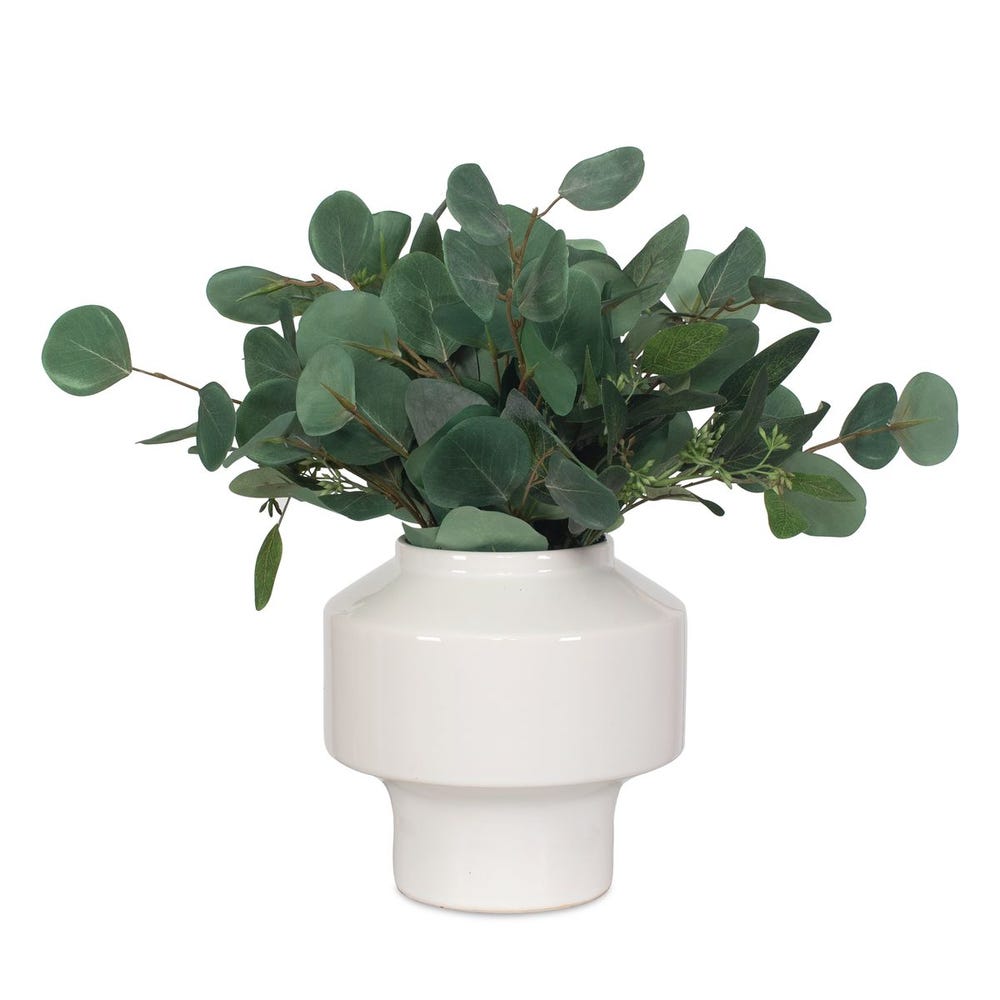 Essence Eucalyptus Accent