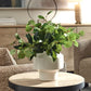 Essence Eucalyptus Accent