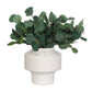 Essence Eucalyptus Accent
