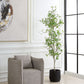Boreal Potted Birch Tree