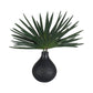 Axis Palm Accent