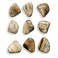 Pebbles Wood Wall Decor, Blonde, S/9