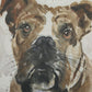 Dog Days Framed Prints, S/4