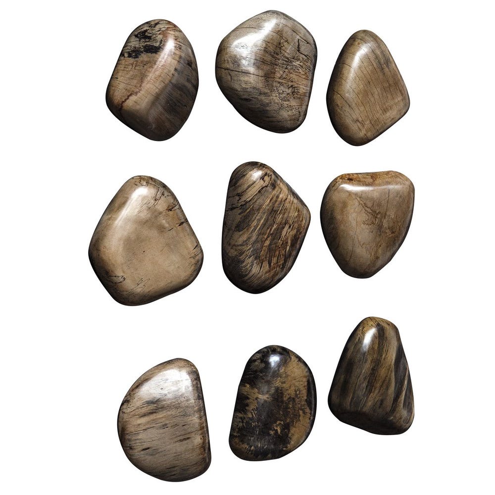 Pebbles Wood Wall Decor, Walnut, S/9