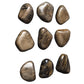 Pebbles Wood Wall Decor, Walnut, S/9