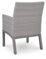 Dillon Beach Arm Chair With Cushion (2/CN)