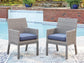Dillon Beach Arm Chair With Cushion (2/CN)