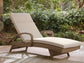 Revare Beach Chaise Lounge with Cushion