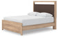 Hollymount Queen Upholstered Platform Bed