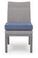 Dillon Beach Side Chair with Cushion (2/CN)