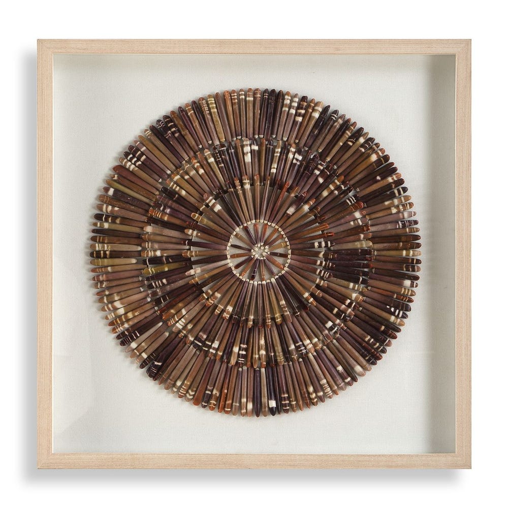 Tiger Sea Urchin Shadow Box