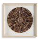 Tiger Sea Urchin Shadow Box