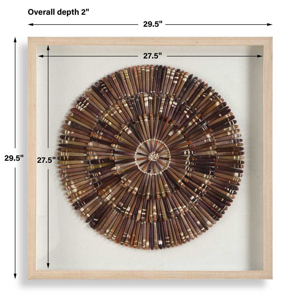 Tiger Sea Urchin Shadow Box