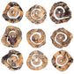 Corkscrew Wood Wall Decor, S/9
