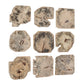Bahati Wood Wall Decor, Bleached, S/9
