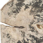 Bahati Wood Wall Decor, Bleached, S/9