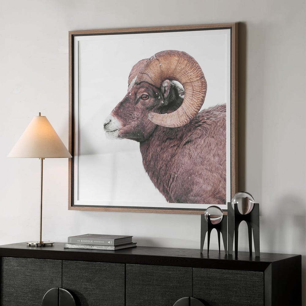Big Horn Framed Print