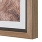 Big Horn Framed Print