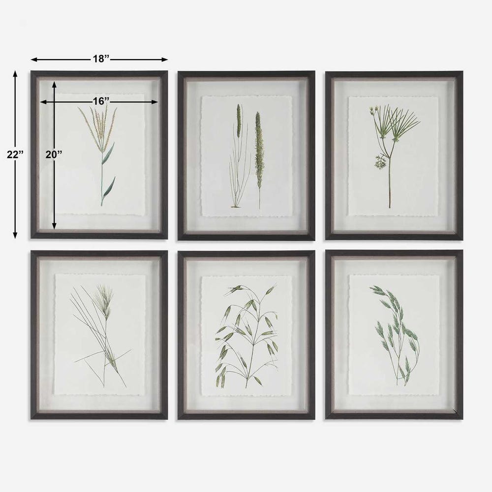 Forest Finds Framed Prints, S/6