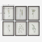 Forest Finds Framed Prints, S/6